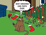 Best Christmas Card