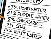 Snowman Ancestry Snowman Ancestry