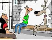 Reindeer in Jail Reindeer in Jail